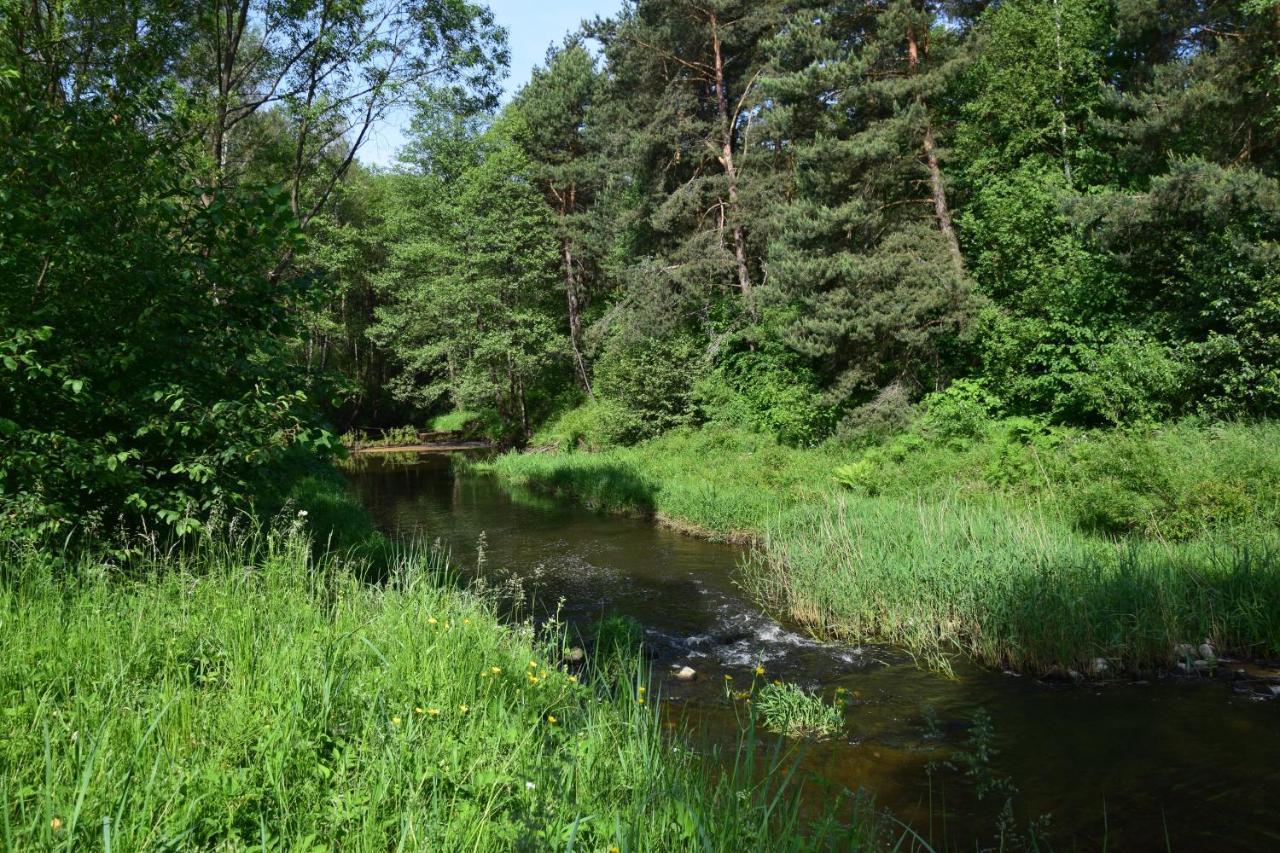 Stary Janow - Pensjonat Staporkow Esterno foto