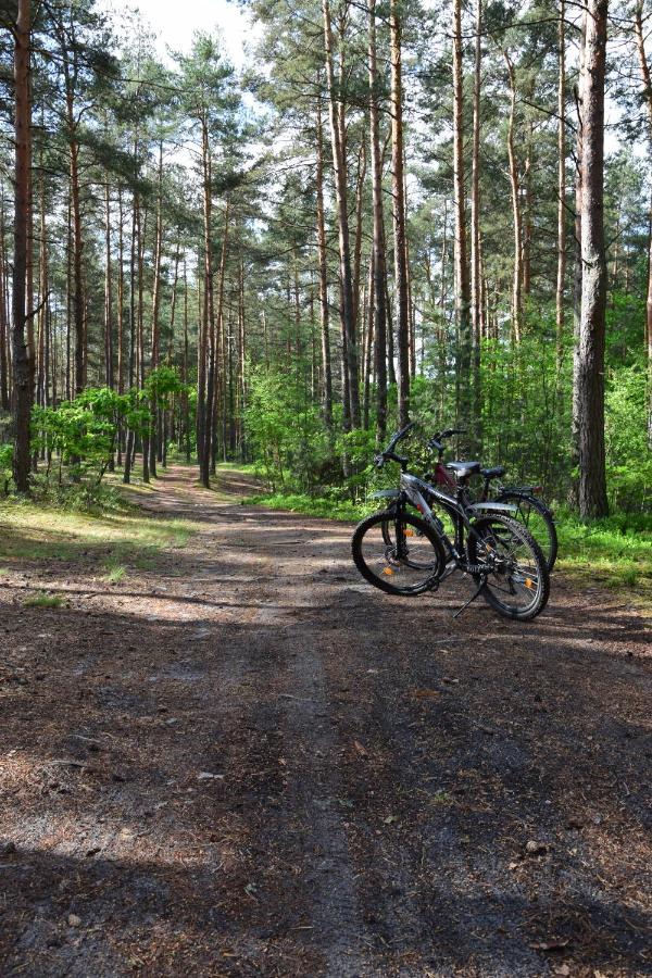 Stary Janow - Pensjonat Staporkow Esterno foto