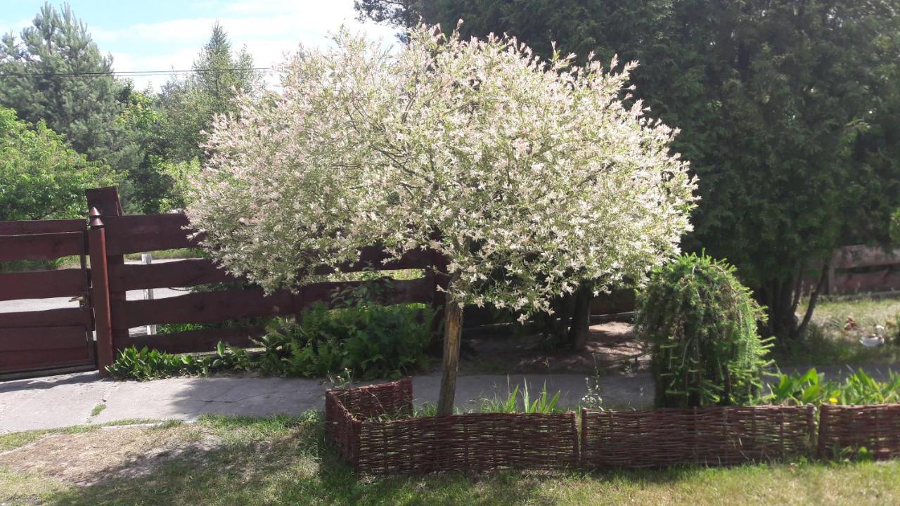 Stary Janow - Pensjonat Staporkow Esterno foto